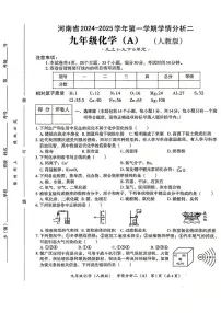 河南省安阳市2024-2025学年考试九年级上学期期末化学测试卷