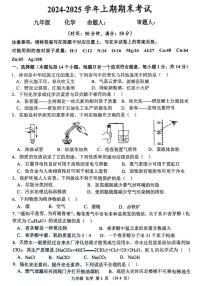 河南省实验中学2024-2025学年九年级上学期期末考试化学试题