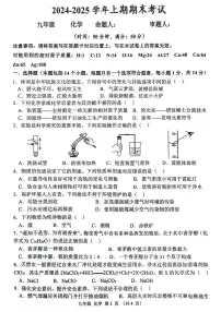 河南省实验中学2024-2025学年九年级上学期期末考试化学试题