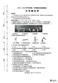 河南省驻马店市西平县2024-2025学年九年级上学期期末考试化学试卷