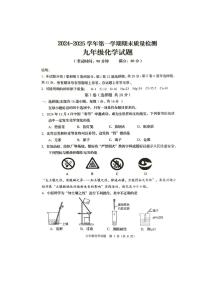 山东省青岛市城阳区2024-2025学年九年级上学期期末考试化学试卷
