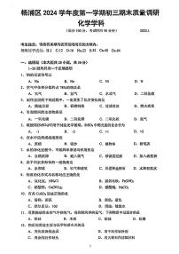 2025届上海市杨浦区初三一模化学试卷（含参考答案）