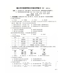 江苏省镇江市外国语学校2024-2025学年九年级上学期期末考试化学试题