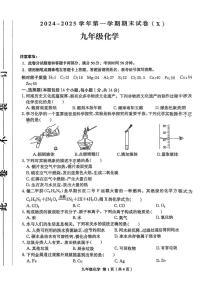 河南省周口市郸城县名校联考2024-2025学年九年级上学期1月期末化学试题