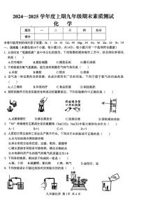 河南省驻马店市上蔡县2024-2025学年九年级上学期期末素质测试化学试卷