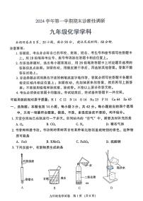 广东省广州市越秀区2024-2025学年九年级上学期期末化学试卷