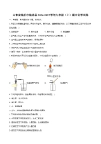 山东省临沂市临沭县2024-2025学年九年级（上）期中化学试卷