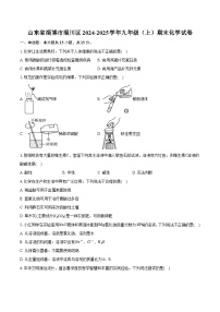 山东省淄博市淄川区2024-2025学年九年级（上）期末化学试卷（解析版）