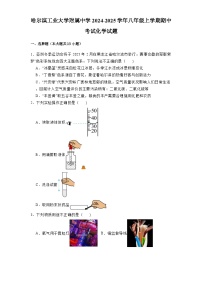 黑龙江哈尔滨工业大学附属中学2024-2025学年八年级上学期期中考试 化学试题（含解析）