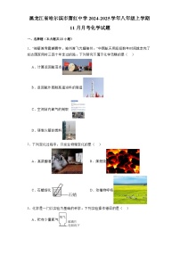 黑龙江省哈尔滨市萧红中学2024-2025学年八年级上学期11月月考 化学试题（含解析）