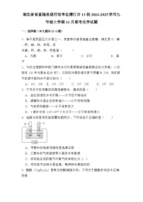 湖北省省直辖县级行政单位潜江市13校2024-2025学年九年级上学期11月联考 化学试题（含解析）