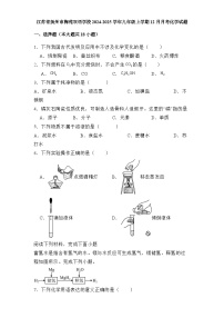江苏省扬州市梅苑双语学校2024-2025学年九年级上学期12月月考 化学试题（含解析）