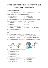 山东省泰安市东平县实验中学2024-2025学年八年级（五四学制）上学期第一次检测 化学试题（含解析）