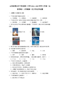 山东省泰安市宁阳县第三中学2024-2025学年八年级（五四学制）上学期第一次月考 化学试题（含解析）