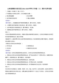 山东省潍坊市昌乐县2024-2025学年八年级（上）期中 化学试卷（含解析）