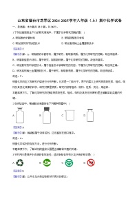 山东省烟台市芝罘区2024-2025学年八年级（上）期中 化学试卷（含解析）