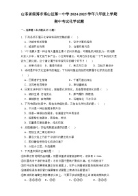 山东省淄博市博山区第一中学2024-2025学年八年级上学期期中考试 化学试题（含解析）