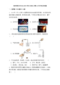 陕西省铜川市2024-2025学年九年级上学期12月月考 化学试题（含解析）