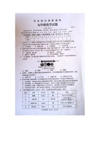 山东省枣庄市薛城区2024-2025学年九年级上学期1月期末化学试题