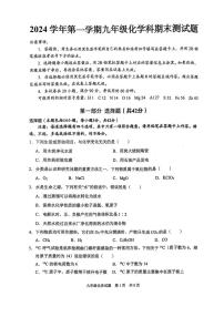 广东省广州市番禺区2024--2025学年九年级上学期期末考试化学试卷