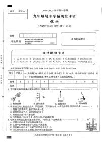 河北省沧州市献县五校2024-2025学年九年级上学期1月期末联考化学试题