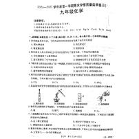 河南省商丘市虞城县2024-2025学年九年级上学期1月期末化学试题