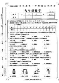 河南省周口市鹿邑县2024-2025学年九年级上学期1月期末考试化学试题
