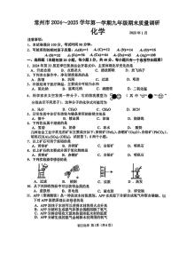 江苏省常州市2024-2025年九年级上学期期末考试化学试题
