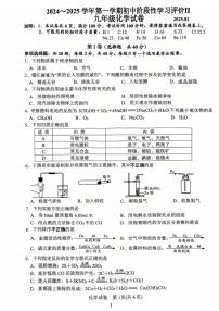 江苏省镇江市2024-2025学年九年级上学期期末考试化学试卷