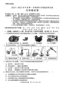 广东省阳江市江城区2024-2025学年九年级上学期期末考试化学试题