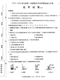 河北省石家庄市新乐市2024-2025学年九年级上学期1月期末考试化学试题