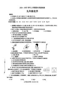 河南省平顶山市2024-2025学年九年级上学期1月期末考试化学试题