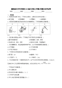 湖南省长沙市芙蓉区2025届九年级上学期1月期末化学试卷(含答案)
