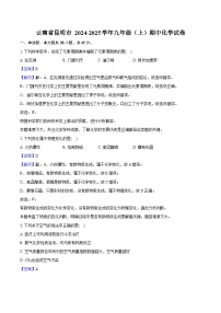 云南省昆明市重点中学2024-2025学年九年级（上）期中化学试卷（含解析）