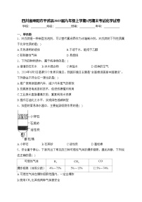 四川省绵阳市平武县2025届九年级上学期1月期末考试化学试卷(含答案)