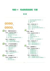 中考化学一轮复习专题09 构成物质的微粒 元素（讲义）-2024年中考化学一轮复习讲练测（全国通用）（解析版）