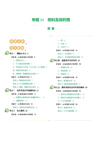 中考化学一轮复习专题11 燃料及其利用（讲义）-2024年中考化学一轮复习讲练测（全国通用）（解析版）