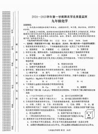 安阳市2024-2025学年九年级上学期期末化学试卷及答案