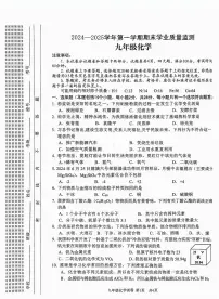 安阳市2024-2025学年九年级上学期期末化学试卷及答案