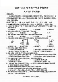 郑州经开区外国语2024-2025学年九年级上学期期末化学试卷