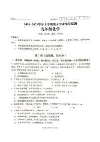 四川省成都市高新区2024-2025学年九年级上学期期末考试 化学试卷（原卷+参考答案）