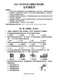 四川省成都市武侯区2024-2025学年九年级上学期期末考试 化学试卷
