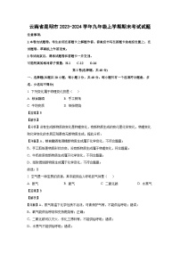 2023~2024学年云南省昆明市九年级上学期期末考试化学试卷（解析版）