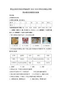 2024~2025学年黑龙江省齐齐哈尔市讷河市九年级上学期期末教学质量测查化学试卷