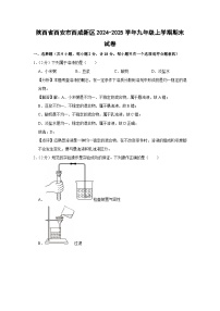 2024~2025学年陕西省西安市西咸新区九年级上学期期末化学试卷（解析版）
