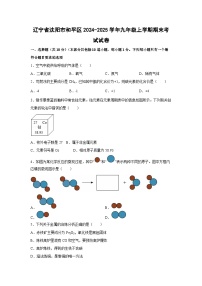 2024~2025学年辽宁省沈阳市和平区九年级上学期期末考试化学试卷