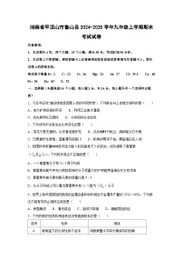 2024~2025学年河南省平顶山市鲁山县九年级上学期期末考试化学试卷