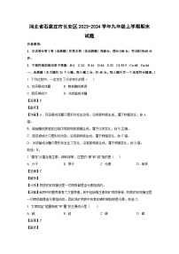 2023~2024学年河北省石家庄市长安区九年级上学期期末化学试卷（解析版）