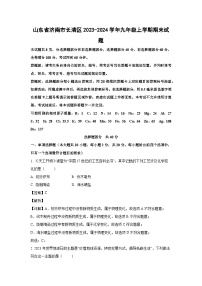 2023~2024学年山东省济南市长清区九年级上学期期末化学试卷（解析版）