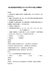 2023~2024学年河北省石家庄市桥西区九年级上学期期末化学试卷（解析版）